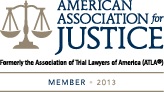 AAJ member badge 2013