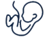 birth icon