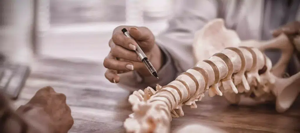 doctor-explaining-anatomical-spine-to-patient